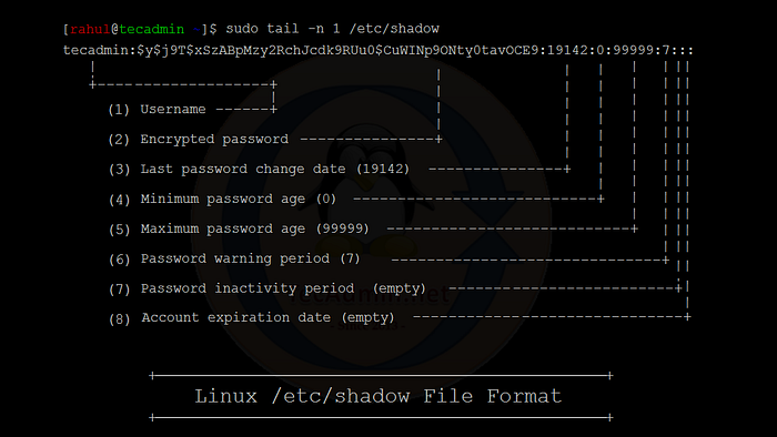 Hexstrikeai Gemini modern passwords cracking — The Why and Where of Password Hashing (view 2)