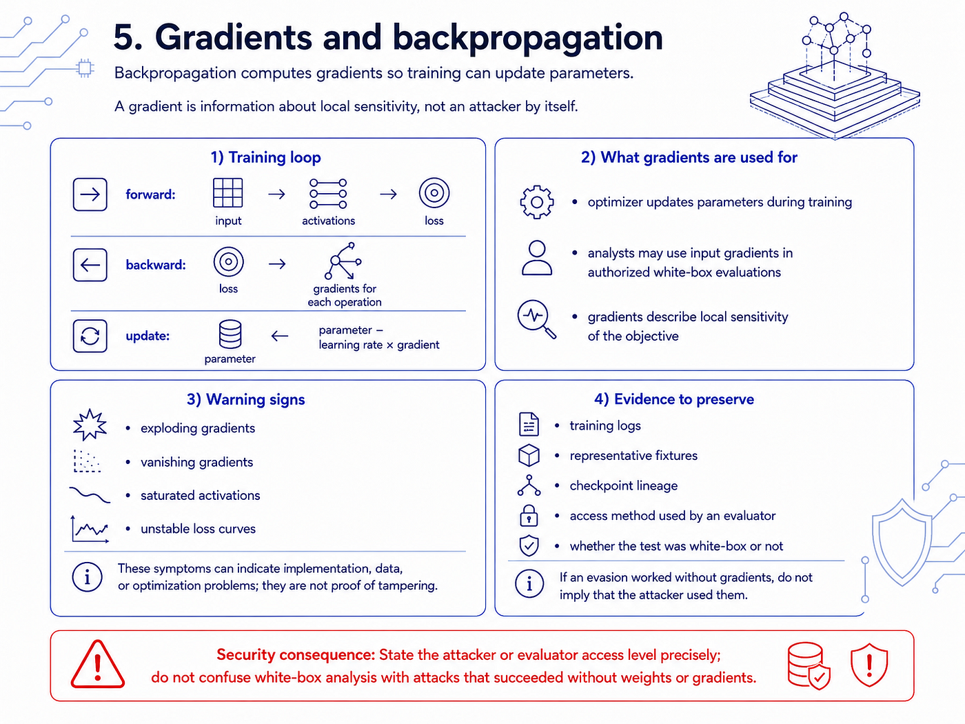 Forward computation, backward gradient propagation, and parameter updates.