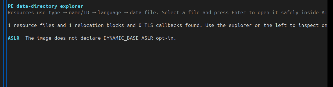 AIDebug ASLR declaration clue