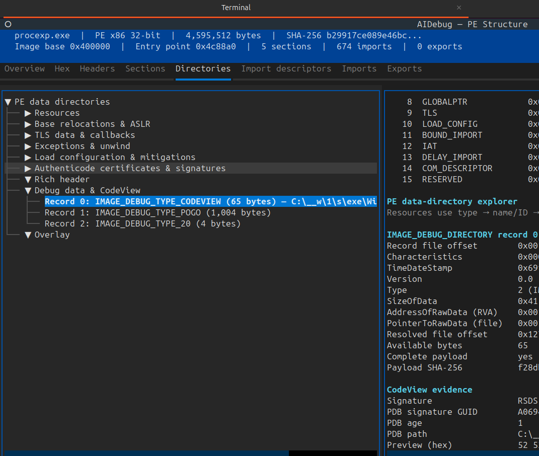AIDebug CodeView, Rich header, and overlay evidence