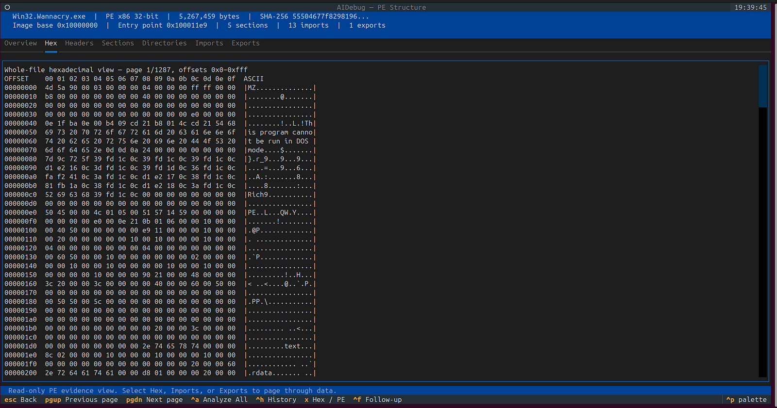 AIDebug whole-file hexadecimal PE view