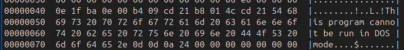 Typical PE DOS stub bytes and message