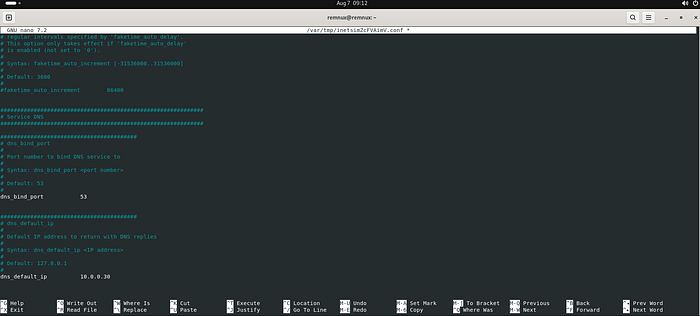 INetSim service bind address and DNS configuration on REMnux