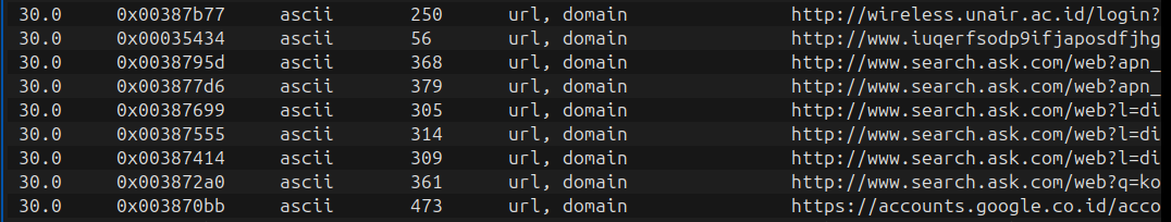 AIDebug network-string results showing URL and domain candidates for validation