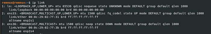REMnux interface discovery output used to identify the isolated LABNET adapter